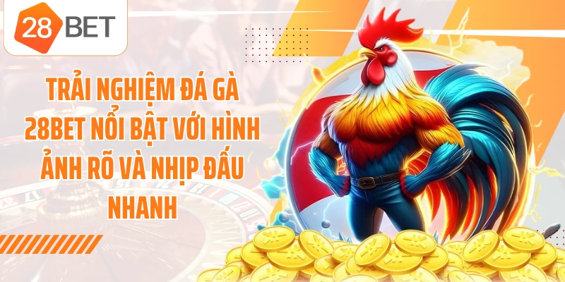 Trải nghiệm đá gà 28BET nổi bật với hình ảnh rõ và nhịp đấu nhanh