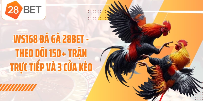 WS168 Đá Gà 28BET - Theo Dõi 150+ Trận Trực Tiếp Và 3 Cửa Kèo